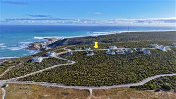 Tranquil Stand in Agulhas Nature Reserve