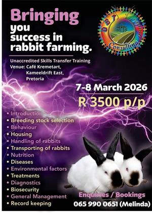 Training in Rabbit breeding