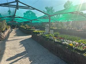 Stunning farm with Nursery, pool, lapa and Main house 4.4 hectar in Withok Estate AH, Brakpan