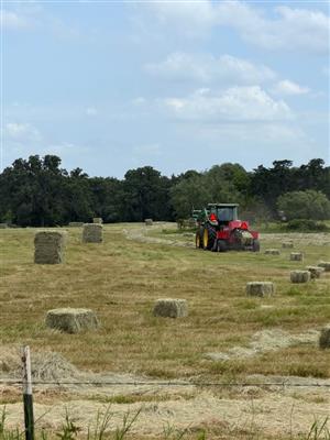 Premium Lucerne Hay – Quality Feed Available