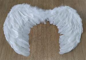 Angel Wings For Sale