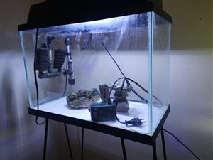 Fishtank with accessories for sale 