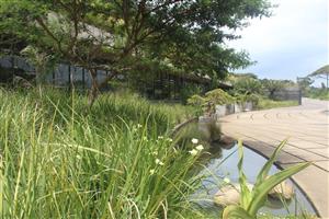 OFFICES IN TRANQUIL ELALENI