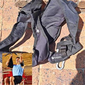 Ab Swing Pair Gym Equipment