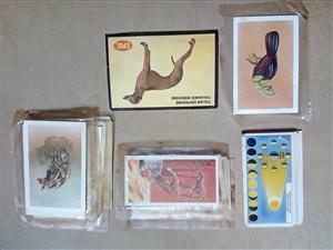 LOT OF VINTAGE COLLECTORS CARDS FROM 1966, 1967 AND 1974 FOR SALE-NEGOTIABLE