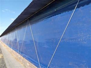 PVC TENTS