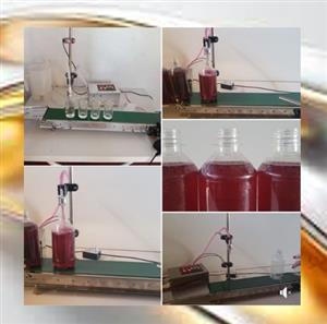 Including conveyor, self priming,