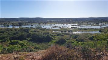 FARM/GRAZE LAND IN THE HEART OF MANOR HEIGHTS AVAILABLE!