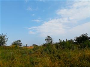 Bedworth Park – Vacant Land for Sale