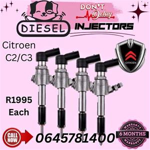 Citroen C2/C3 diesel injectors