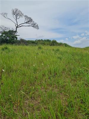 HELMSLEY COUNTRY ESTATE – NATURE | FAMILY | COUNTRY