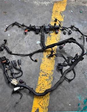 Golf 7 R automatic harness