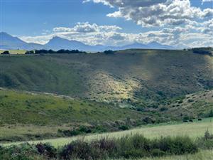Farm For Sale in Herbertsdale