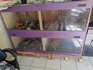 Ball pythons and cages