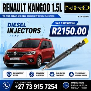 Renault_Kangoo_1.5L_Delphi_Injectors 