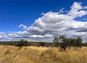 Farm For Sale in Tzaneen Rural