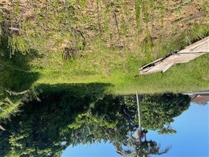 LAND FOR SALE -ZINKWAZI BEACH - SEA VIEWS