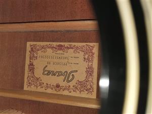 Ibanez electric-acoustic guitar 