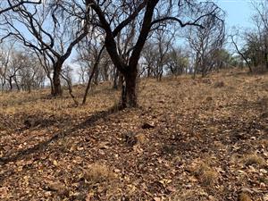 Perfect stand. Perfect location. Perfect Lifestyle