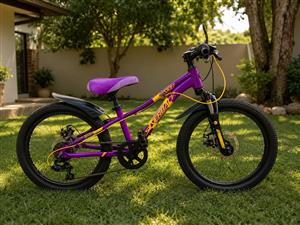Silverback SKID 20" Kids Mountain Bike – Excellent Condition