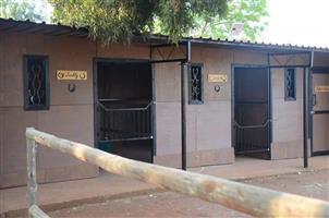 Complete timber and wood horse stables