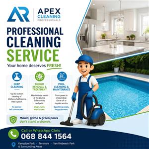 Professional cleaning service