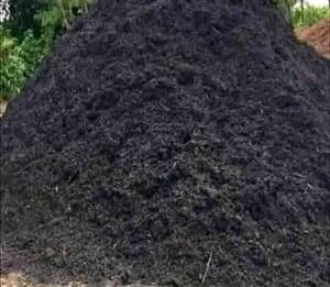 Compost compost