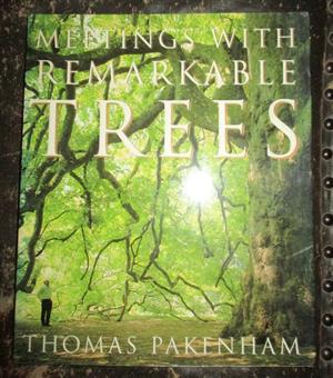 Meeting with Remarkable Trees 