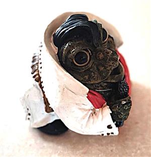 Elvis the Toad