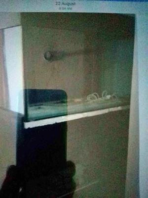 Customized 4ft Marine Tank setup for sale