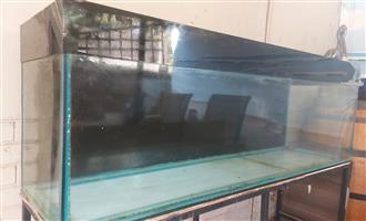 Fishtank 1.8m (6ft)