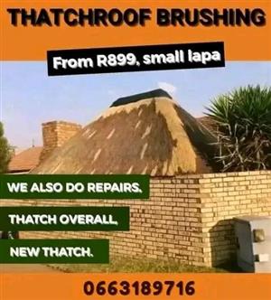 New Lapa and Tatchro