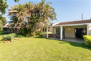 Bird and beach life come together