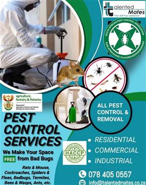 Pest Control Services 