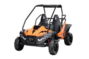 Hammerhead Mudhead-SE Offroad Buggy