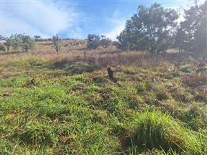 Vacant Land Residential For Sale in Cullinan