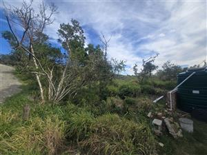 Riet River Shareblock Plot For Sale – Eastern Cape Coast