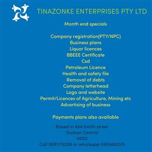 Tinazonke Enterprises (removal of debt, business plan, company registration, liq