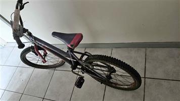 16 inch bicycle