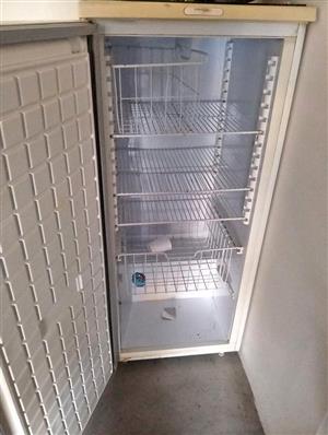 Upright Fridge Freezer For sale-(Needs Regas)