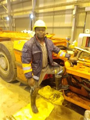 Diesel plant fitter mechanic TLB , Excavator , yellow machines , trucks .diesel engines,Dozers