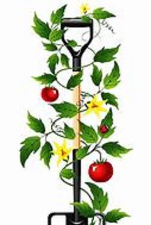 Tuindienste besigheid lewer dienste in Pretoria Oos en Pretoria Noord te koop