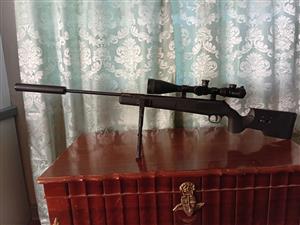 22 Air Rifle 