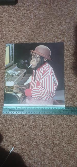 Baboon, bigger picture