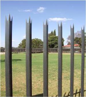 PALISADE FENCING