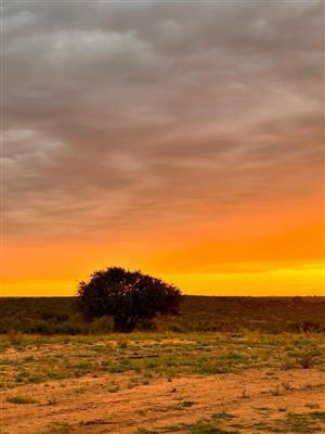 Farm For Sale in Modjadjiskloof