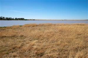 Vacant Land Agricultural For Sale in Koppies