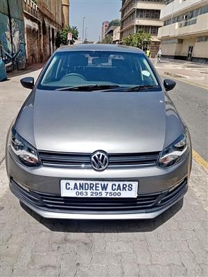 Polo vivo