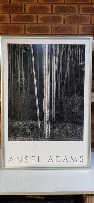 Print Ansel Adams