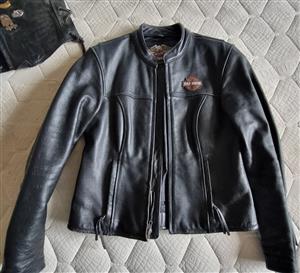 Harley Davidson leather jacket